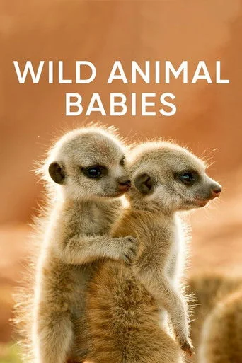 Wild Animal Babies